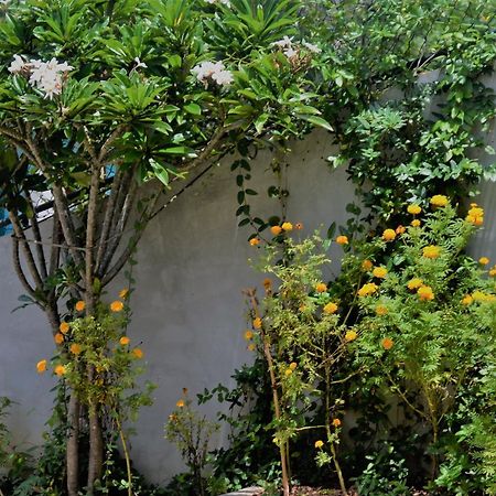 Bed and breakfast Bellaxy Ceylon Extérieur photo